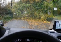 Old A30 closed both ways due to fallen tree
