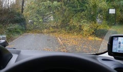 Old A30 closed both ways due to fallen tree