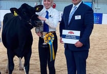 Champion success for local livestock exhibitor Abi