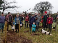 Twenty-one trees mark 21 years of existence for Tavy and Tamar group