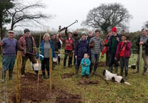 Twenty-one trees mark 21 years of existence for Tavy and Tamar group