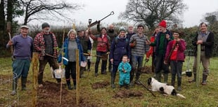 Twenty-one trees mark 21 years of existence for Tavy and Tamar group