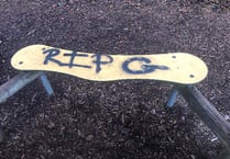 Vandals strike again at Yelverton Playpark