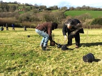 Rural charity Running Deer uses county council grant for free countryside skills training