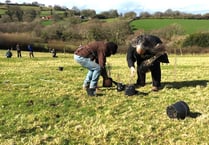 Rural charity Running Deer uses county council grant for free countryside skills training