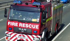 Trapped bullock freed by fire crews after vehicle left road at Sourton