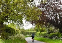 Greenway study to view online