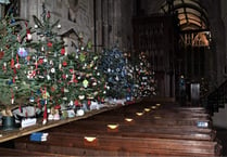 Tavistock Christmas Tree Festival returns next week