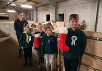 Christmas treats for ponies in need