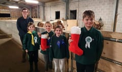 Christmas treats for ponies in need