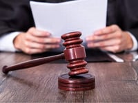 Driver in court after crashing into police car in stolen car
