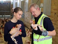 Charity rehomes 4,300 hens saved from slaughter