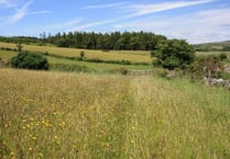 Is greater protection for Dartmoor on the cards following the rise of anti social behaviour during the pandemic?