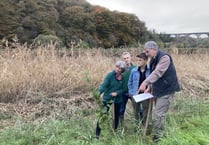 Community digs deep for Forest project