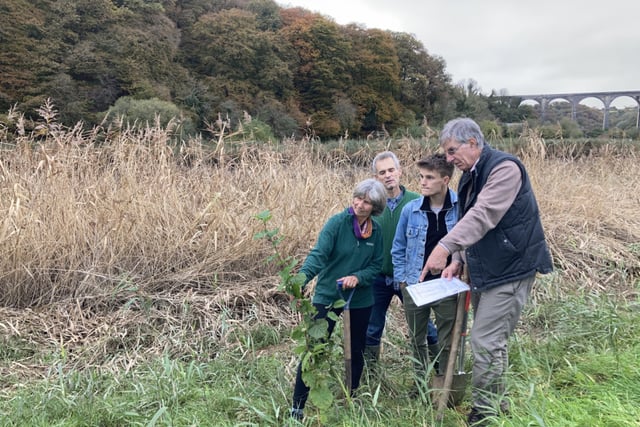 Community digs deep for Forest project