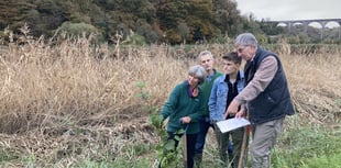 Community digs deep for Forest project