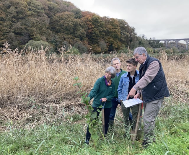 Community digs deep for Forest project