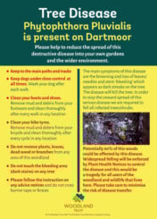 Fingle Woods face new threat