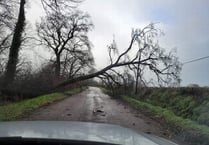Storm Eunice wreaks havoc across West Devon