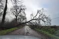 Storm Eunice wreaks havoc across West Devon