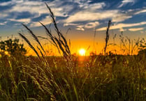Workshop for farmers coming up in Okehampton