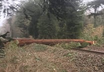 Storm Eunice: All trains suspended from Penzance to Paddington for the rest of the day