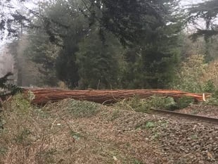 Storm Eunice: All trains suspended from Penzance to Paddington for the rest of the day