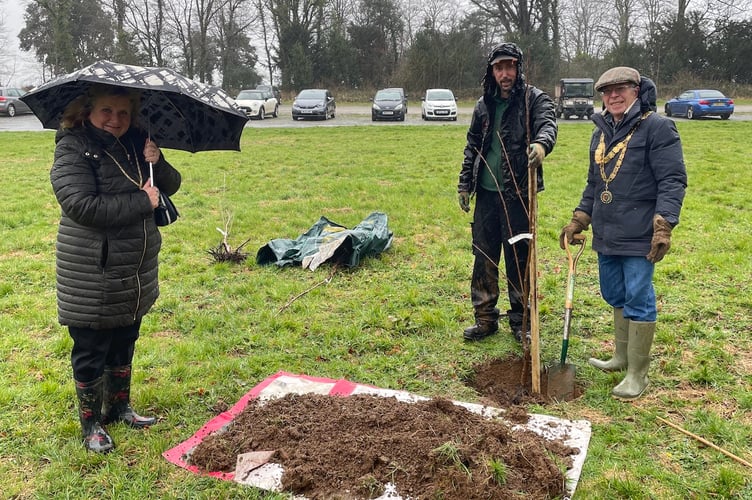 Mayor of Tavistock Andy Hutton and his wife Sue plant a tree for the Queen’s Platinum Jubilee at Buckland Abbey near Tavistock.