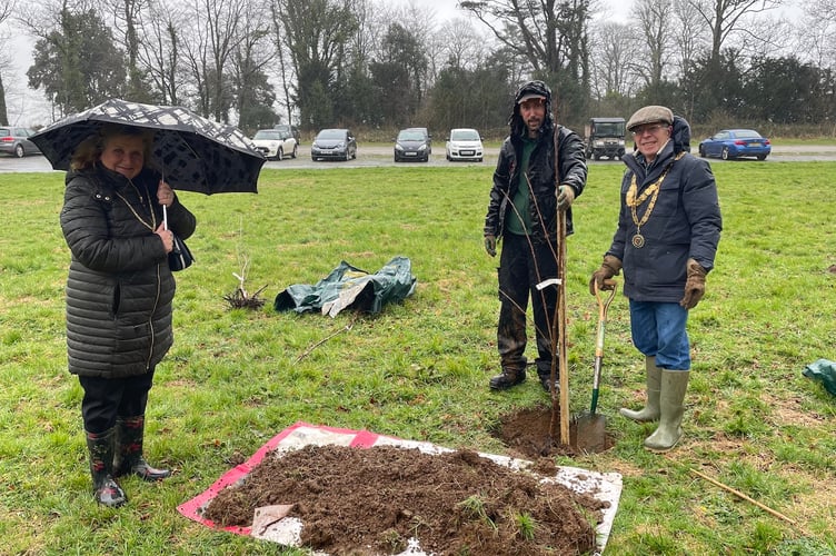 Tavistock mayor Andy Hutton plants tree to mark Queen’s Platinum Jubilee at Buckland Abbey.