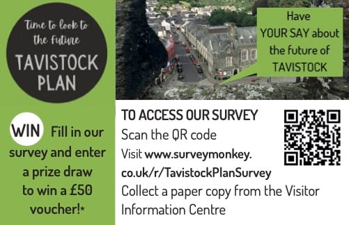 A card being produced by Tavistock Development Plan steering committee telling people how to get involved.