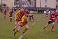 Okehampton rugby side lose to Paignton despite valiant fight