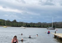 Swimmers take on the Tamar in icy fundraising dip
