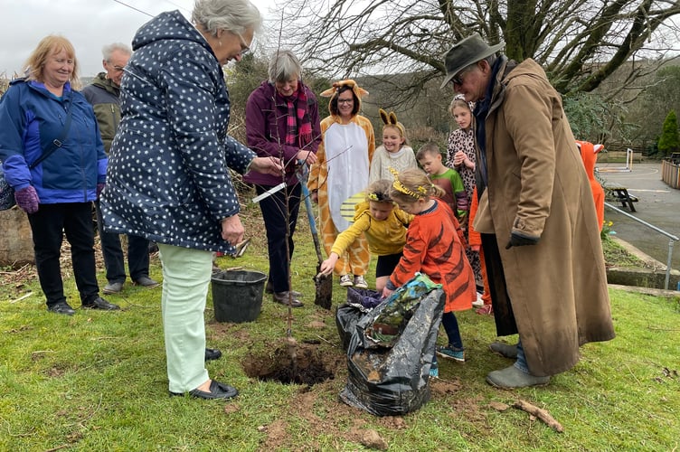 Children from Meavy Primary School helping to plant a tree in the schools grounds to celebrate 60 years of the village’s garden society