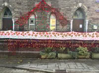 Appeal for poppies for display