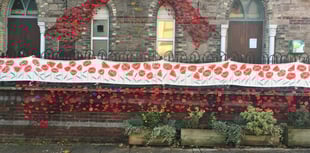 Appeal for poppies for display