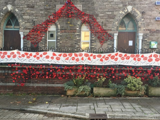 Appeal for poppies for display