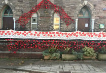 Appeal for poppies for display