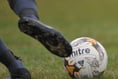 AGM REPORT: Five new teams enter South Devon League
