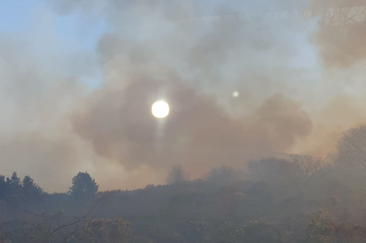 A scene of the moorland fire by Jane Rogers