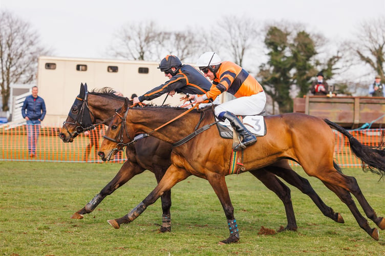 Lamerton Point to Point races