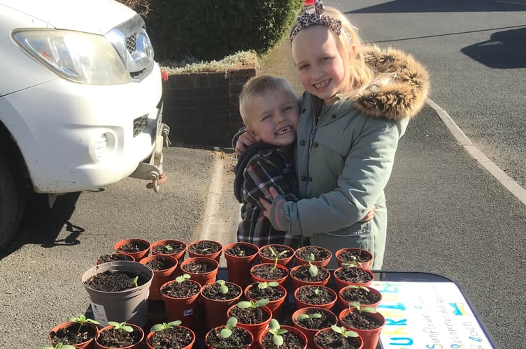 Archie and Lottie Squire from Tavistock sell sunflowers for Ukraine