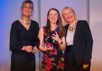 Visitor centres scoop gold
