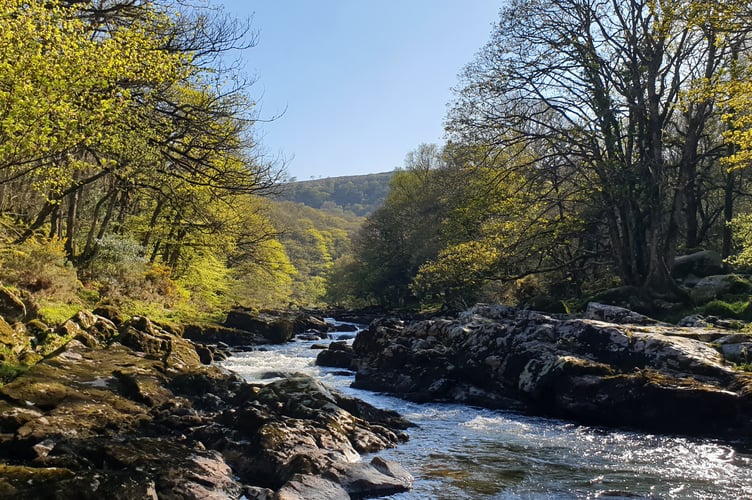 Dartmoor Way 