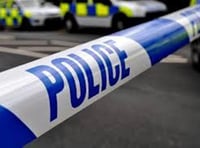 Witnesses sought to Tavistock assault