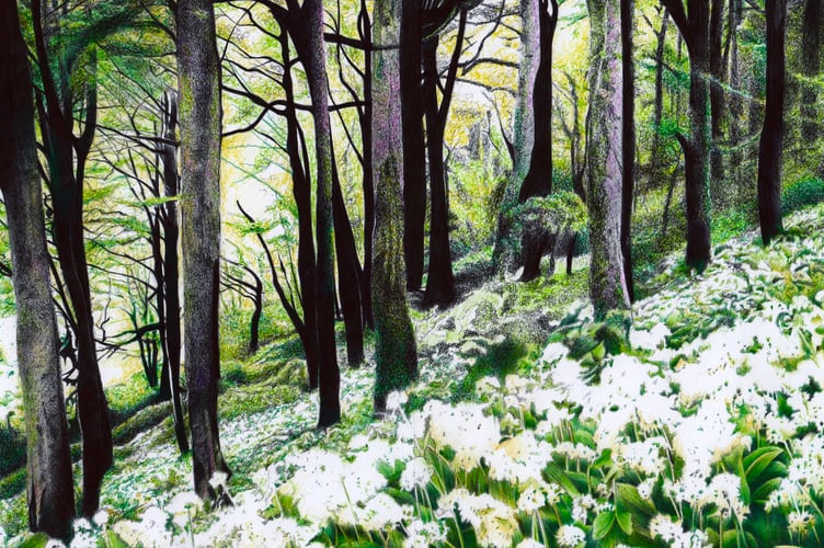 Matt Kavanagh - Wild Garlic at Lydford Gorge