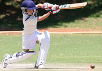 Hatherleigh notch up another cricket defeat