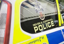 Police update after spate of vehicle thefts in Devon
