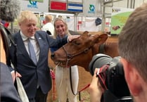 Abi and her champion cow get a surprise visit from the PM