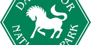 DNPA plans to be net zero by 2025