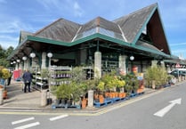 Concern over plants ‘dying’ outside stores